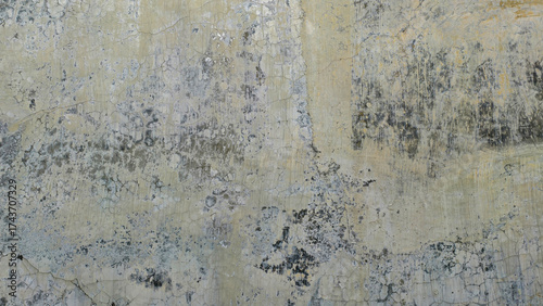 Close-up of a weathered, textured wall surface, showing imperfections and dis...