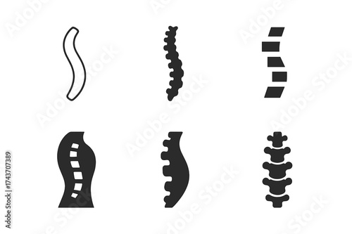 Spine Logo Variations. Physical Therapy. Set Logo of Physical Therapy: human spine. harmonious logo variations of the same emblematic concept, each with