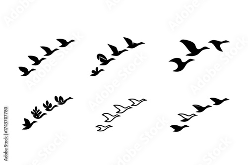 Geese Formation Logos. Geese. Set Logo of Wildlife: Flying geese forming an arc across the sky. harmonious logo variations of the same emblematic concept, each