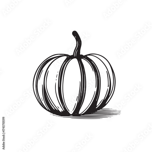  Ink drawing of a pumpkin with shading and a stem.