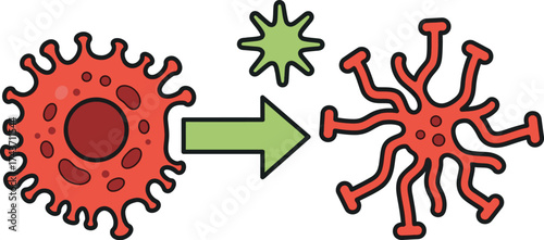 Understanding virus infection process and cellular transformation