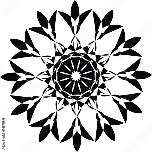 a mandala, a symbolic diagram used in various Asian cultures, particularly in Hinduism and Buddhism. 