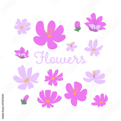 Set of blooming wildflowers isolated on a white background. Perfect for spring patterns, greeting cards, decoration, postcards, modern decor or branding.