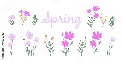 Set of blooming wildflowers and leaves isolated on a white background. Perfect for spring patterns, greeting cards, decoration, postcards, modern decor or branding.