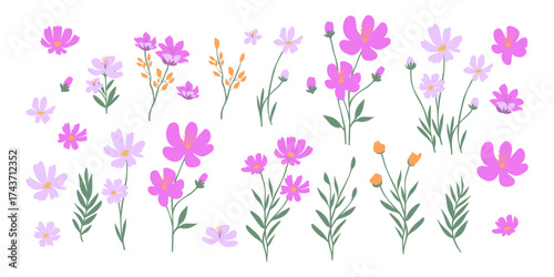Set of blooming wildflowers and leaves isolated on a white background. Perfect for spring patterns, greeting cards, decoration, postcards, modern decor or branding.