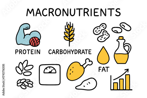 Macronutrient Icons Doodle. Macronutrients. Hand-drawn doodle illustration protein icon (colored), carbohydrate icon, fat drop (colored), grains,