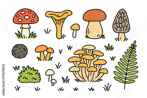 Mushroom Doodle Wonderland. Mushrooms. Hand-drawn doodle illustration toadstool (colored), chanterelle, porcini (colored), morel, oyster mushroom (colored),