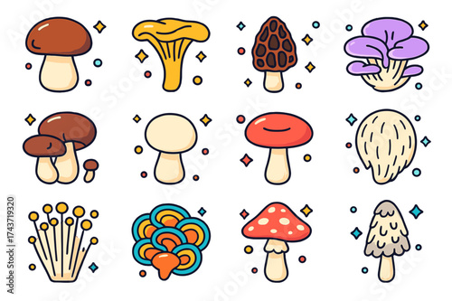 Colorful Mushroom Icons. Mushroom varieties. Colorful isometric vector icons set of mushroom varieties: porcini, chanterelle, morel, oyster mushroom, shiitake,