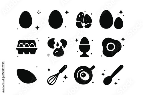 Egg Icon Collection. Egg varieties. Solid icons set of Egg varieties: chicken egg, duck egg, quail egg, goose egg, carton, cracked egg, boiled egg, fried egg,