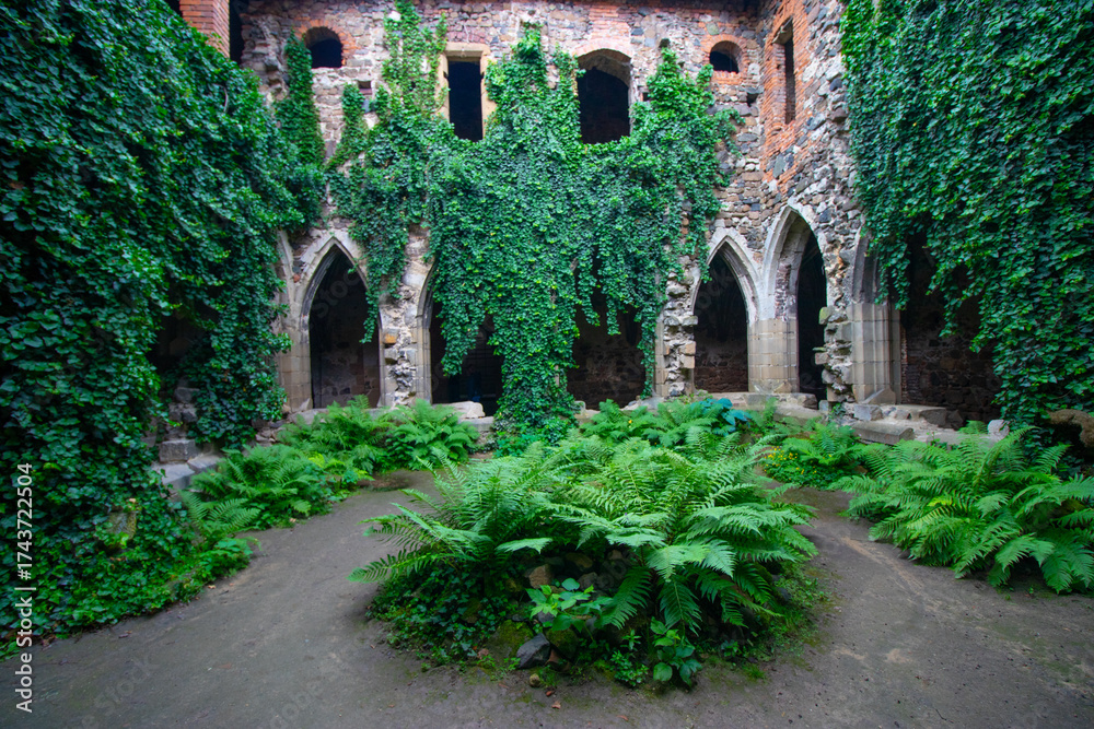 Fototapeta premium Beautiful archway in the ruins of the convent called Rosa Coeli (Rose of Heaven), South Moravian Region (Jihomoravský kraj)