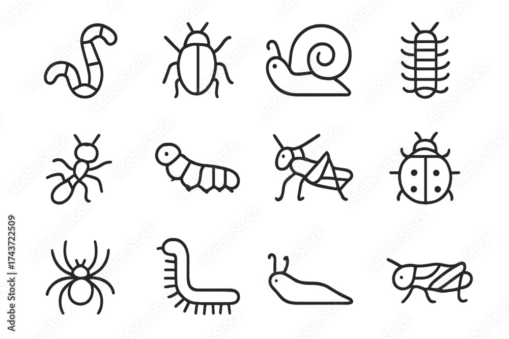 Fototapeta premium Garden Insect Icons. Garden Creatures. Line icon set of Garden Creatures: earthworm, beetle, snail, centipede, ant, caterpillar, grasshopper, ladybug, spider,