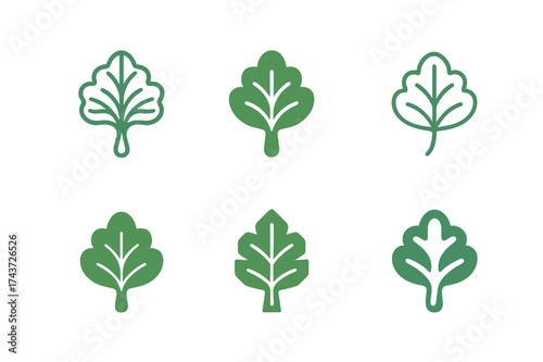 Rhubarb Logo Variations. Rhubarb. Set Logo of Rhubarb: rhubarb leaves. harmonious logo variations of the same emblematic concept, each with different artistic