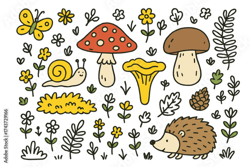 Colorful Mushroom Meadow. Mushroom Meadow. Hand-drawn doodle illustration toadstool (colored), chanterelle, porcini (colored), moss, snail (colored), hedgehog,