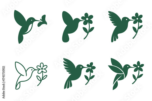 Hummingbird Logo Variations. Pollinators. Set Logo of Nature: hummingbird feeding. harmonious logo variations of the same emblematic concept, each with