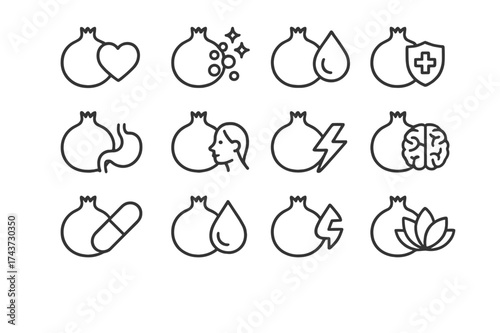 Pomegranate Health Icons. Pomegranate health benefits. Line icon set of pomegranate health benefits: heart, antioxidant, blood drop, immunity shield,