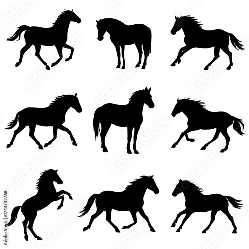 Horse set silhouette vector style