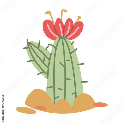 flat color vector illustration of a cactus growing in the desert, with a blooming red flower. An isolated object on a light background. A minimalist concept of a desert plant, drawn sideways