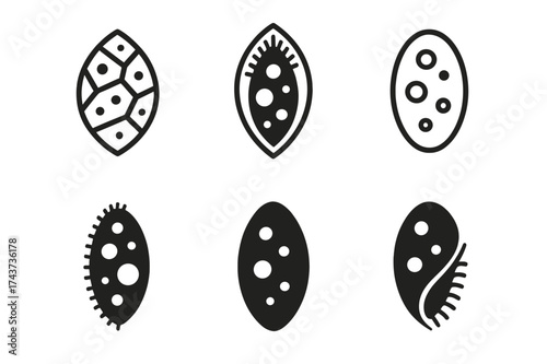 Microbe Logo Variations. Microbe. Set Logo of Microbe: ciliate. harmonious logo variations of the same emblematic concept, each with different artistic
