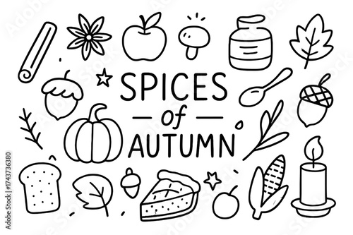 Autumn Spice Doodle. Spices of Autumn. Hand-drawn doodle illustration of Spices of Autumn. Cinnamon stick,