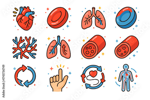 Blood Circulation Icons. Blood Circulation. Colorful isometric vector icons set of Blood Circulation: heart pumping, oxygenated red blood cell, deoxygenated