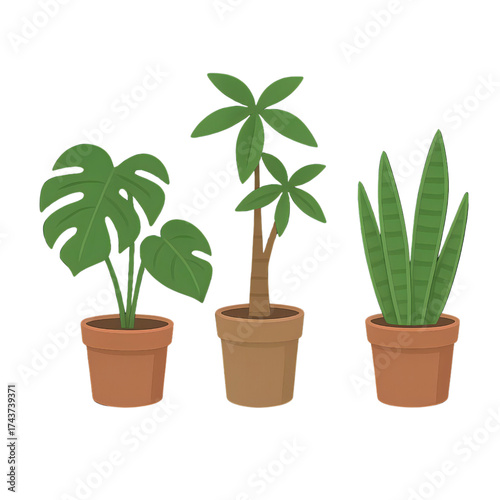 観葉植物イラスト｜Potted Plants Illustration