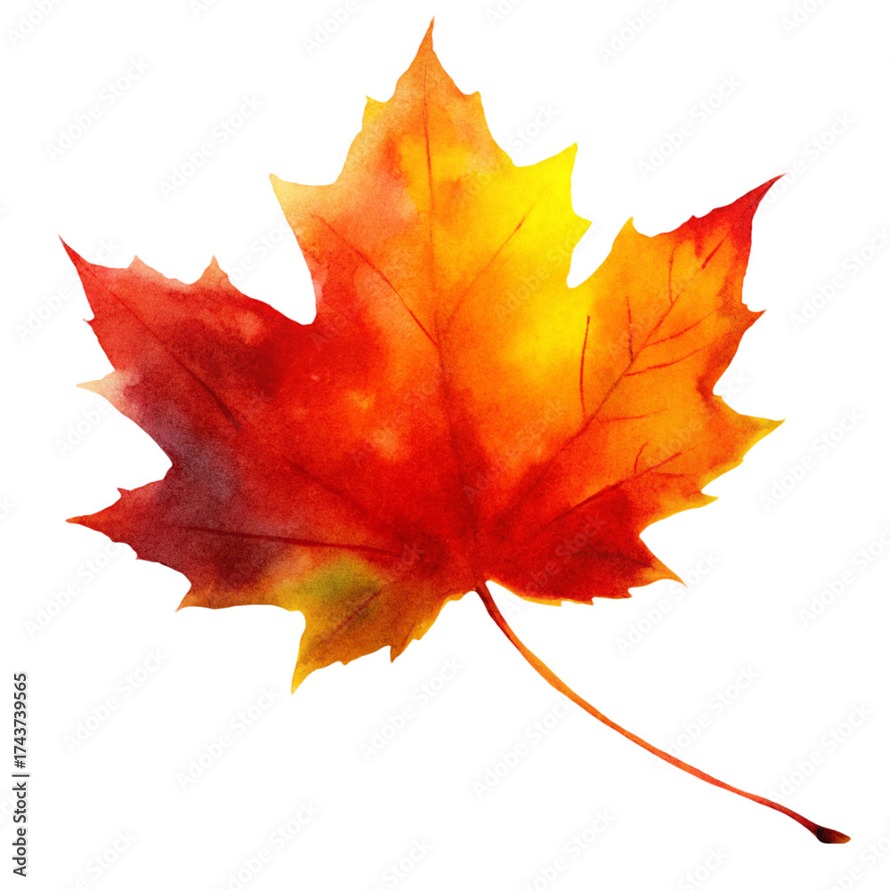 Obraz premium watercolor fall maple leaf on transparent background, red and orange maple leaf, png