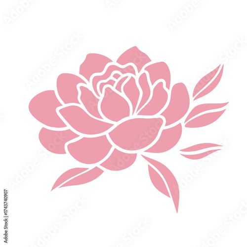 Flower icons. Peony flower with leaves. Peonies hand drawn vector art. Pink peony flower