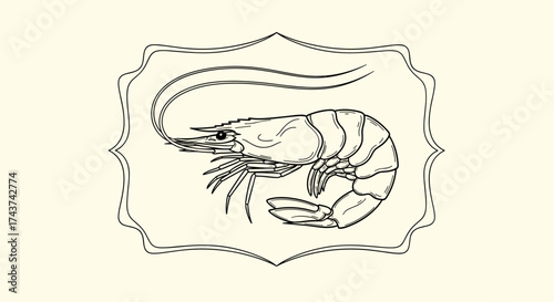 An artistic illustration of a single shrimp presented in a decorative frame.