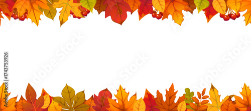 Autumn fall leaves border frame with orange, red, yellow and green seasonal foliage and berries, vector background. Autumn festive seasonal decoration of fall foliage with oak, maple and rowan berries