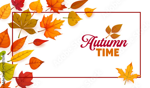Autumn time banner or greeting card with frame of scattered leaves, vector background. Autumn time greeting card with frame of maple, oak, chestnut, birch and aspen leaves or fall season foliage