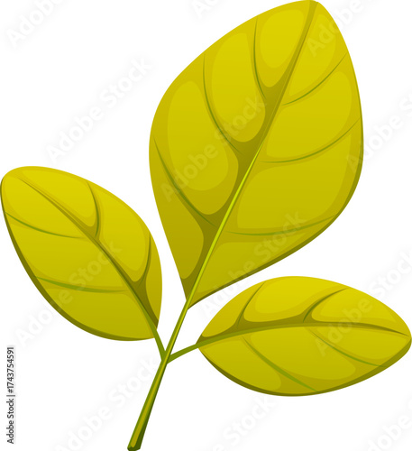 Cartoon autumn fall season green leaf with fresh autumnal shades and veins. Isolated vector fall season tree foliage, natural element for herbarium, forest or garden vegetation, herb or twig