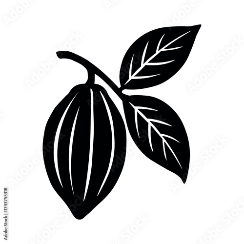 Cacao beans vector flat illustration on white background. Hand drawn cocoa chocolate organic symbol in vintage style for web and design packages.