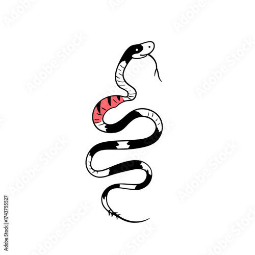 Coral Snake. Coral Snake simple black and white line art vector logo