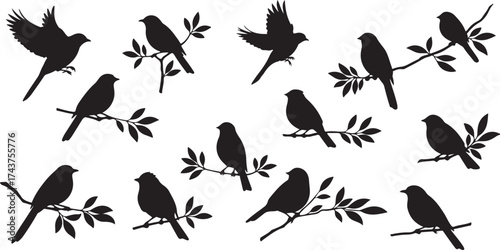 Collection of black bird silhouettes perched on branches with leaves leaf