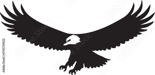 Eagle  vector shilhouette single collection
