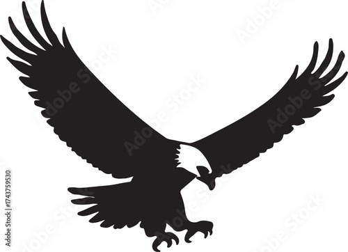 Eagle  vector shilhouette single collection
