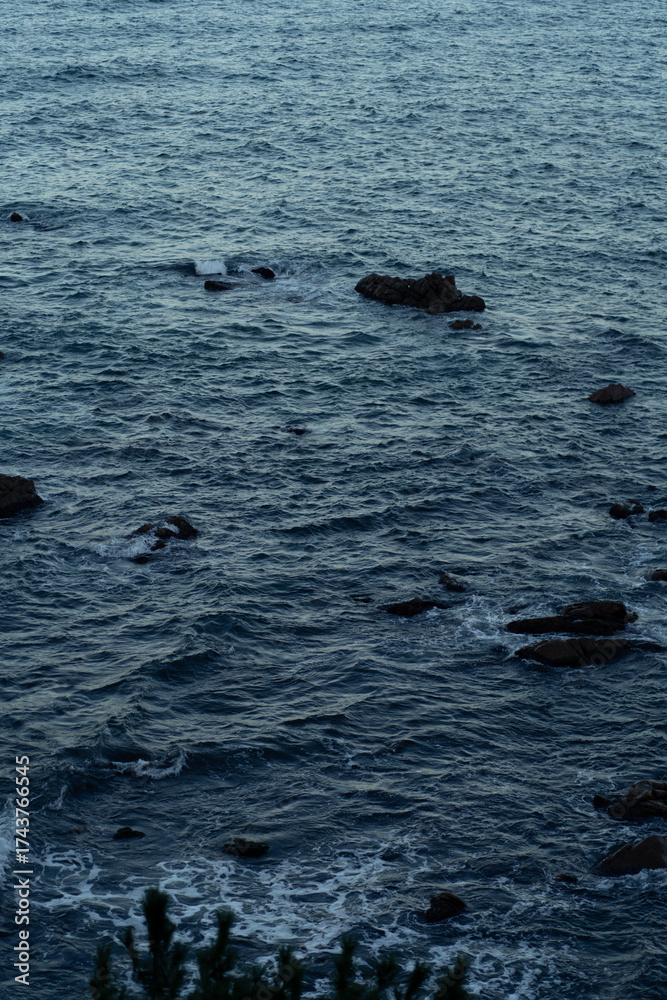 Fototapeta premium 바다