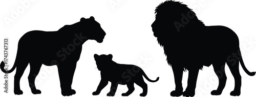 Lion family silhouette, lioness, cub, male lion with mane, African wildlife vector, pride illustration, black animal shapes on white background