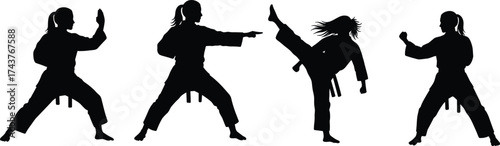 Martial arts silhouette vector, karate and taekwondo poses, traditional gi uniform, high kick, defensive stance, fighting technique illustration for stock