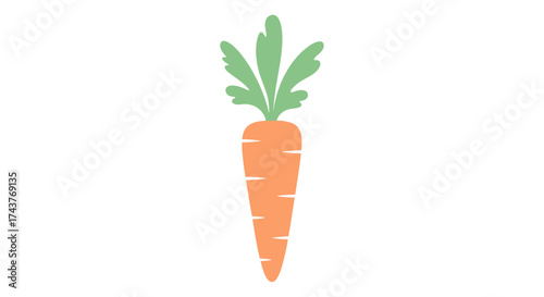 Fresh orange carrot with green leaves.