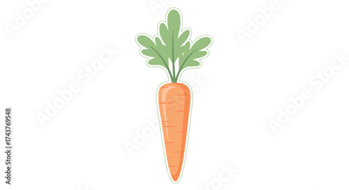 A single fresh orange carrot with green leafy tops isolated on a white background.