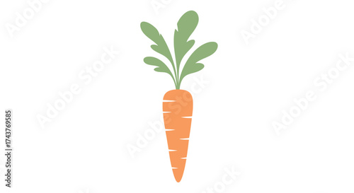 A single fresh orange carrot with green leaves on a white background.