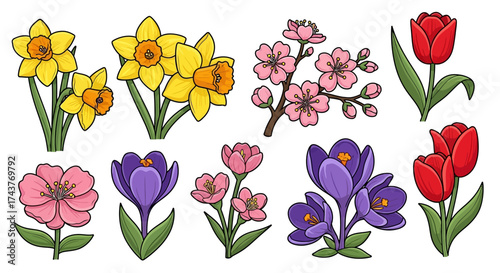 Assortment of Spring Flowers - Daffodils, Cherry Blossoms, Tulips, and Crocuses.