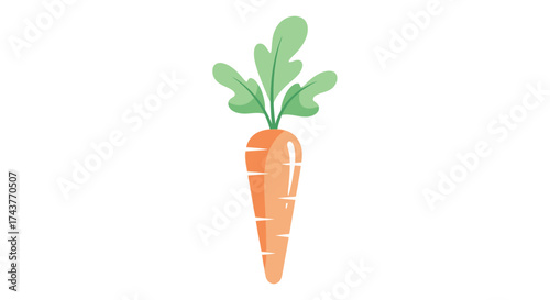 Freshly Harvested Orange Carrot with Green Leaves.