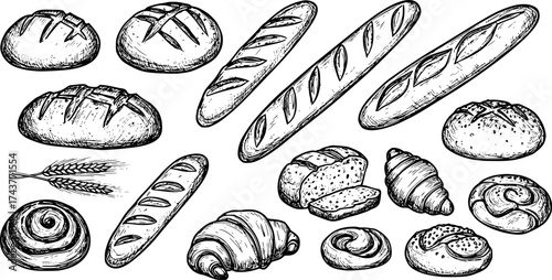 Vector hand-drawn bread and bakery design illustrations, food sketches, vector icons