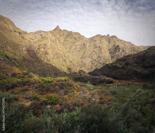 Exploring the Stunning Afur Ravine in Anaga Mountains, Tenerife's Wild Beauty