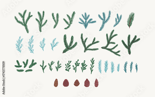 Set of isolated coniferous branches, twigs, leaves and pine cones. Hand drawn vector illustration of botanical elements. Winter forest plants. Evergreen tree parts for greeting card, invitation, print