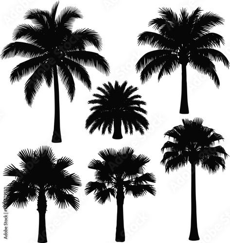 Isolated a kinds of deferent Palm tree silhouettes. black palm tree shapes vector art with white background.