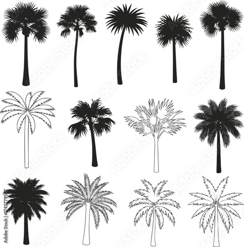 Isolated a kinds of deferent Palm tree silhouettes. black palm tree shapes vector art with white background.