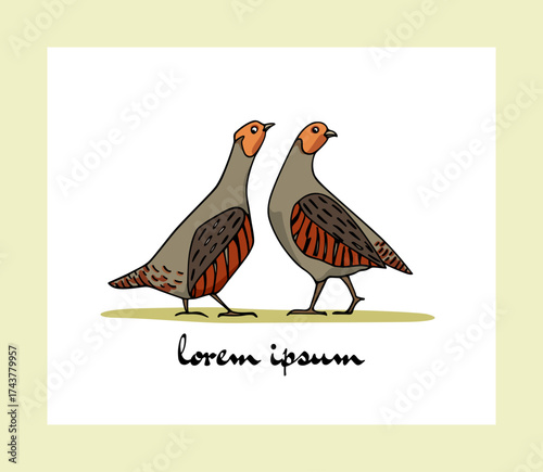 Vector card with hand drawn pair of Grey Partridges. Ink drawing, decorative graphic style. Beautiful wildlife or Easter celebration design elements, logo template